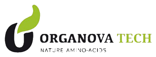 Organova